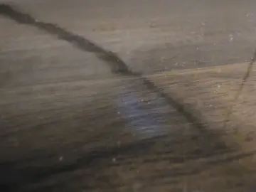 Cam4 Sex Cam of beffer_fun