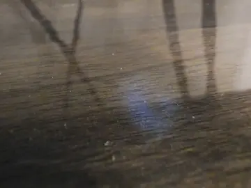 Cam4 Sex Chat of beffer_fun