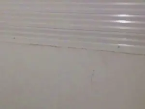 Cam4 Live Sex of robocopx2x