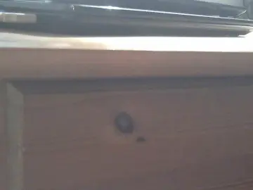 thomas2187 from cam4