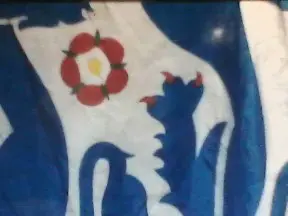 Cam4 Live Porn of WildOne_79