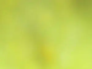 Cam4 Live Sex Cam of saraa88