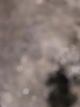 Luc26helmond from cam4