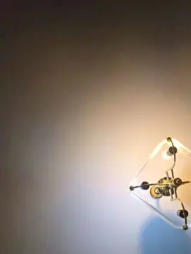 Cam4 Live Sex Cam of 18Pomposita