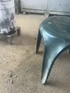 Cam4 Sex Cam of Bullnapol