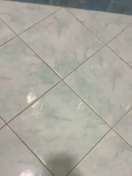 Cam4 Sex Cam of Bullnapol