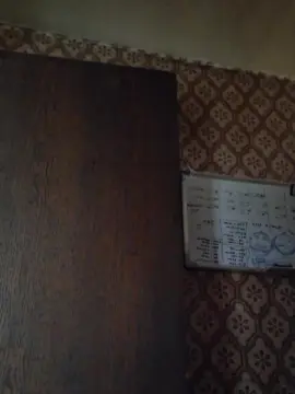 Cam4 Free Live Porn of oso4fun