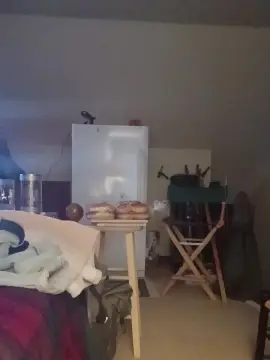 Cam4 Live Sex of Jollyroger8000