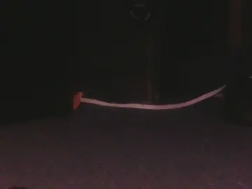 Cam4 Private Sex Chat of UseDatman