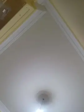 Cam4 Nude Webcam of benny_malo