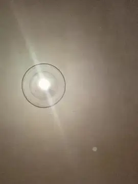 Cam4 Best Webcam of benny_malo