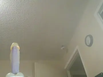 Cam4 Free Porn Cam of toys4fun73