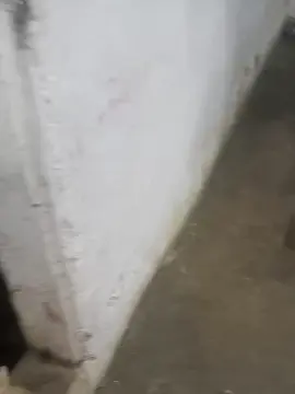 Cam4 Watch Live Sex Cams of MONSTER777DADDY