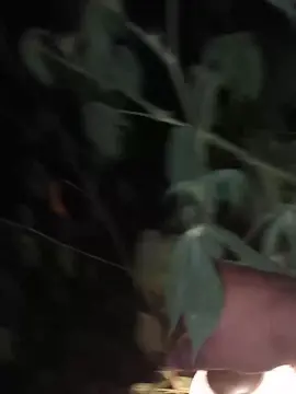 Cam4 Sex Cam of MONSTER777DADDY