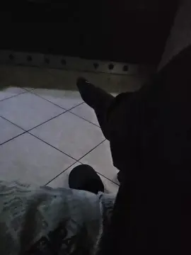 Cam4 Adult Video Chat of FurioXte