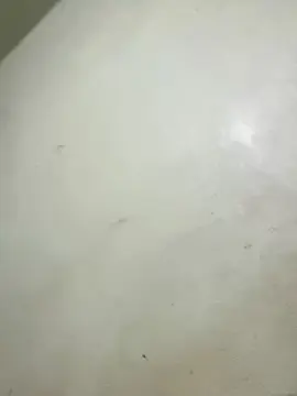 Cam4 Free Porn Cam of Fernandachb