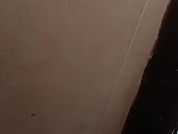 Cam4 Adult Video Chat of InfectedPsy