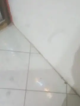 Cam4 Live Sex of Nummag767