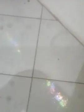 Cam4 Watch Live Sex Cams of Nummag767