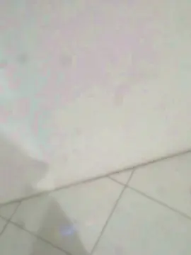 Cam4 Live Porn of Nummag767