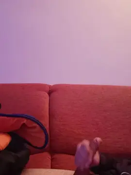 Cam4 Nude Webcam of daviid402