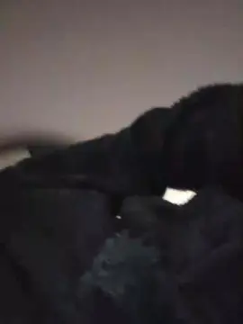 Cam4 Free Porn Cam of mec271