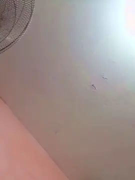 Cam4 Best Webcam of lolabb1