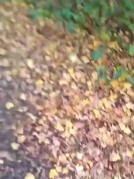 Cam4 Free Live Porn of BitcoDaddyUK