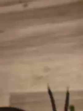 Cam4 Free Porn Cam of BitcoDaddyUK