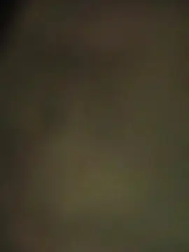 Cam4 Best live sex cam show of Genesis219