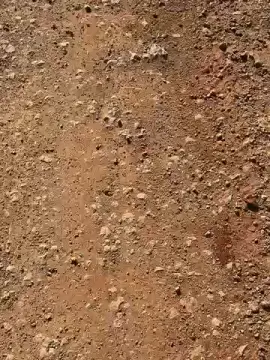 Cam4 Adult Webcams of safadinhooo5