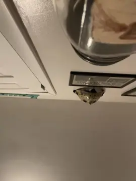 Cam4 Live Porn of Love2cum4200