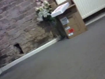 Cam4 Live Porn of fastbowler771