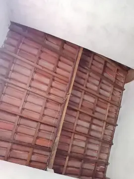 Cam4 Sex Chat of lindo2013