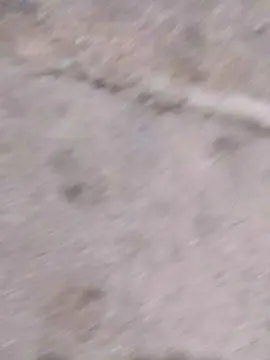 Cam4 Adult Webcams of alejhecmen_Pori