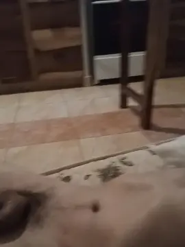 Cam4 Free Live Porn of indio88_hot