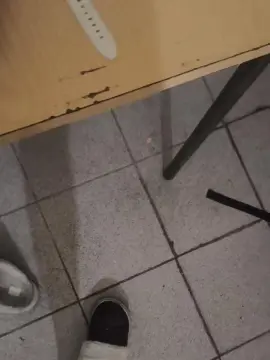 Cam4 Best Webcam of Ustedpida