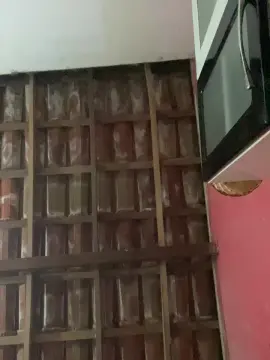 Cam4 Live Sex of Spiderfindom