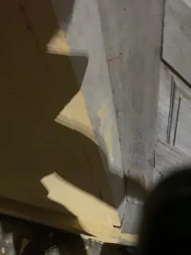 Cam4 Live Porn of Spiderfindom