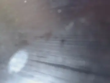 Cam4 Private Sex Chat of lesdertth