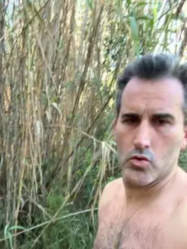 Cam4 Best Webcam of Petitesuisse