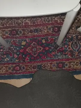 davvvideee from cam4