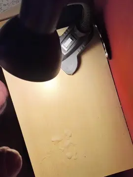 Cam4 Best Webcam of divinaporvos