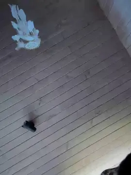 Cam4 Watch Live Sex Cams of dopeboy366