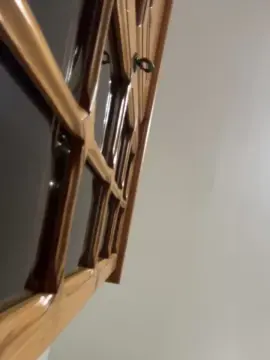 Cam4 Live Sex of Pollonerox