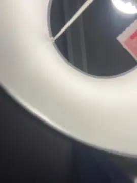 Cam4 Adult Video Chat of Pollonerox