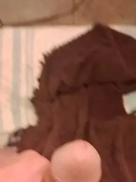 Cam4 Sex Cam of Bigdaddydick8in