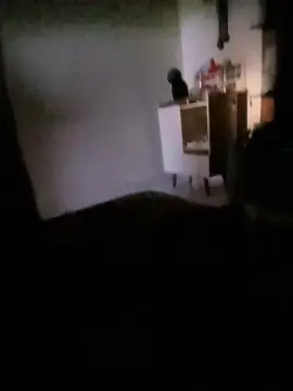 Cam4 Live Porn of robertom5