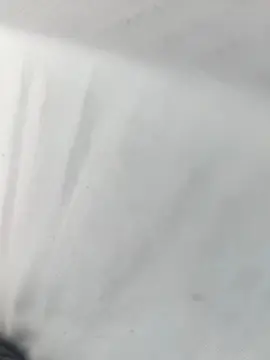 tiresias525 from cam4