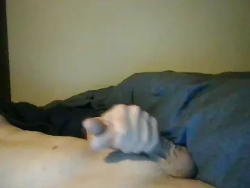 Cam4 Live Porn of funguy722